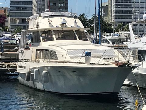 Imagen de Bertram 46.6 bandera Uruguaya