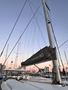 Imagen de Leopard 50